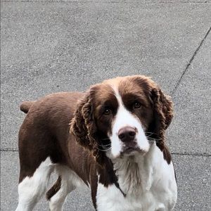 Meet your Posher, Jake